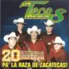 LOS TECOS DE RIO GRANDE ZACATECAS - 20 Éxitos Norteños